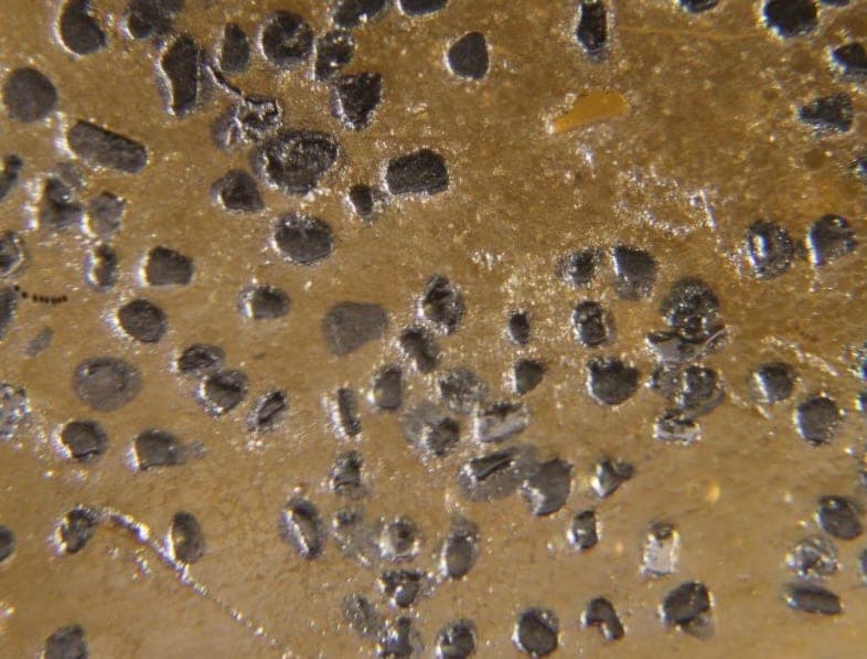 Erlichmanite mineral