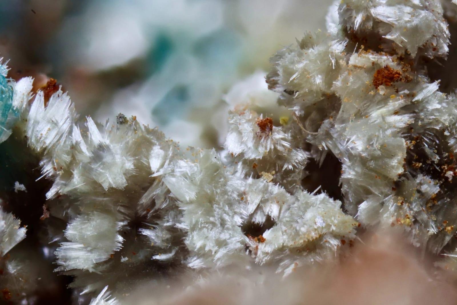 Ferrinatrite mineral