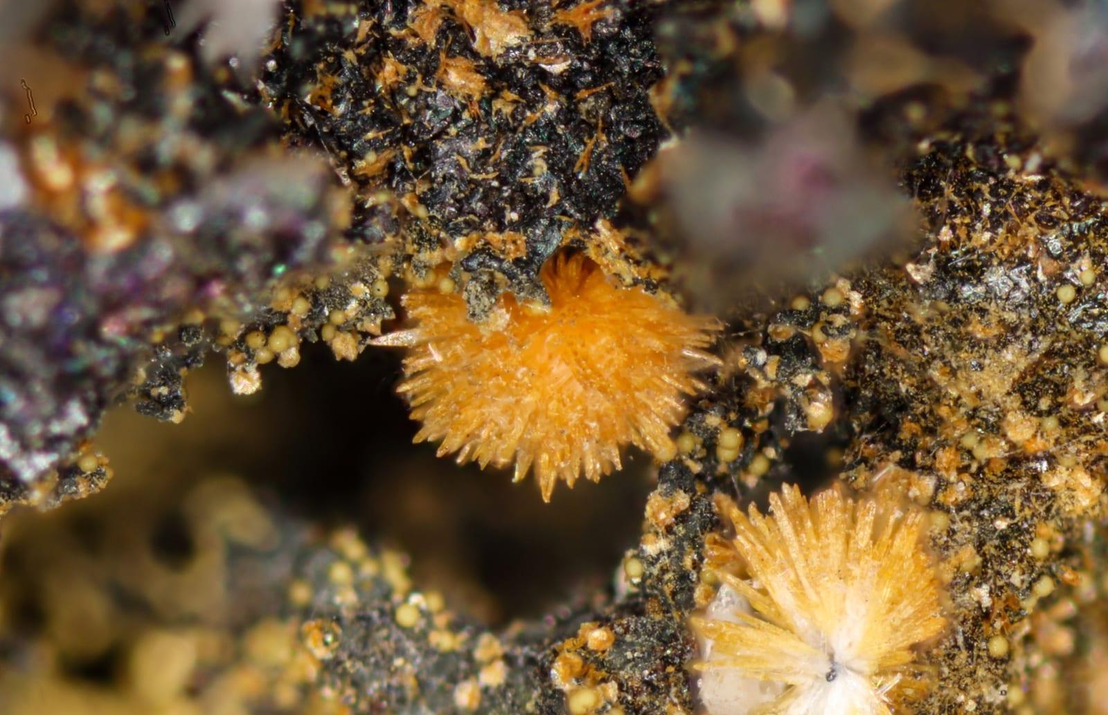 Ferrisymplesite mineral