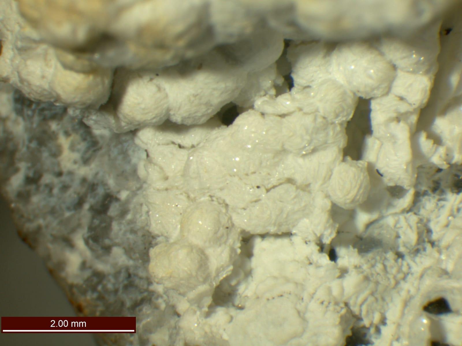 Ferroaluminoceladonite mineral