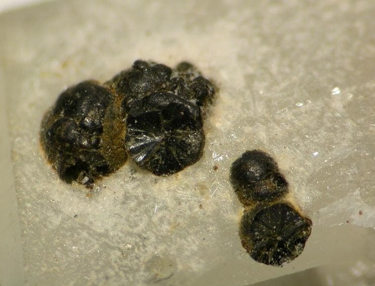 Ferrosaponite mineral
