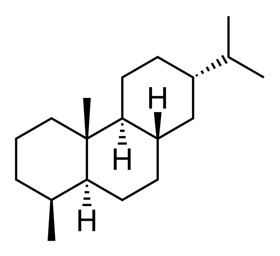 Fichtelite mineral
