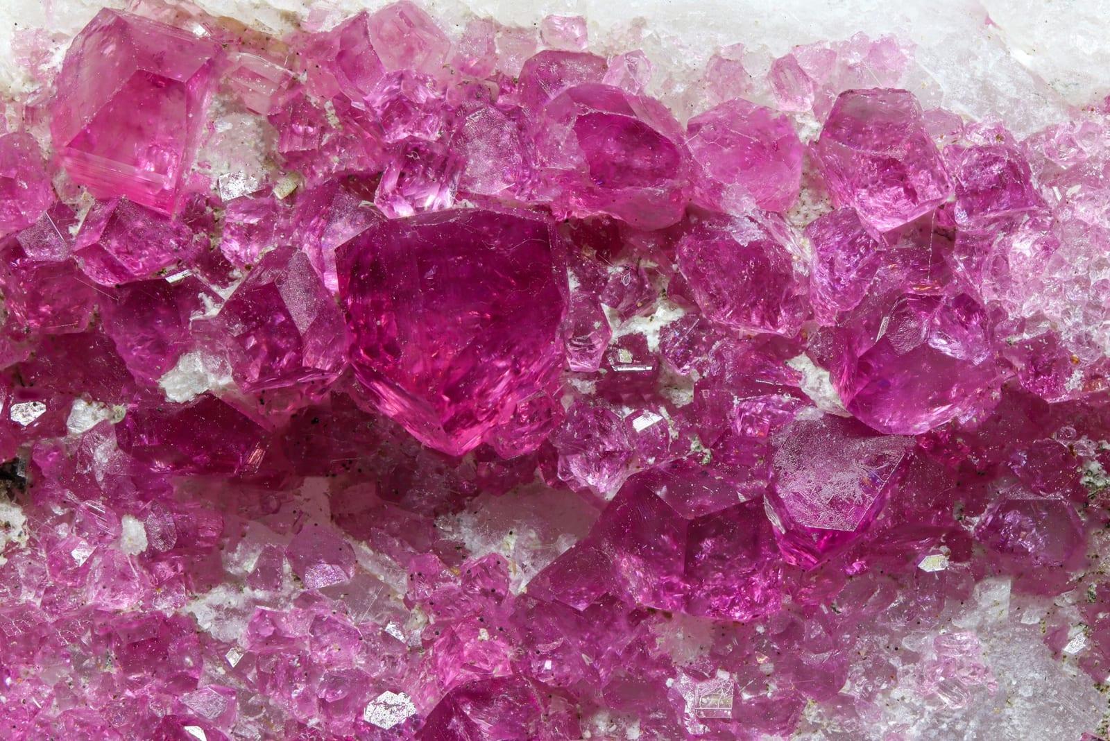 Fluor-liddicoatite mineral — Fluorliddicoatite7444 6