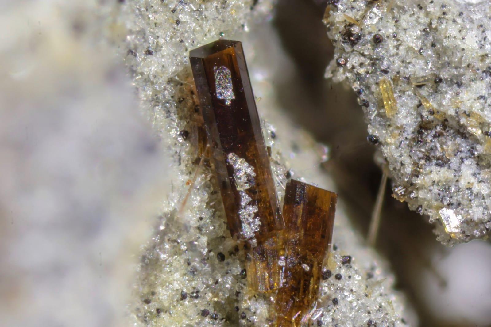 Fluoro-edenite mineral — Fluoro edenite