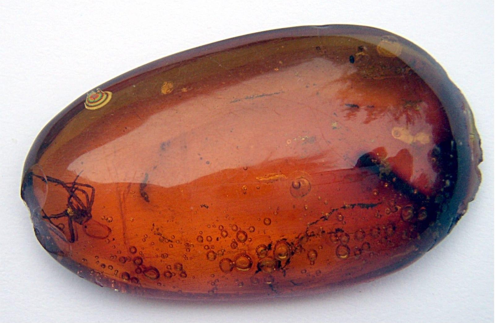 Fossil Spider fossil — Spider in amber