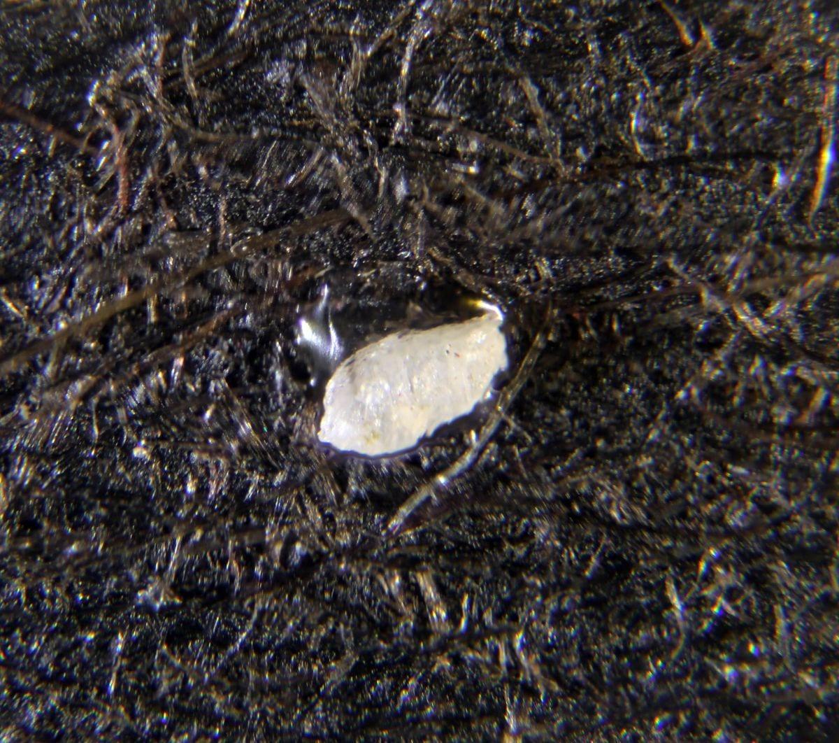 Gerstmannite mineral