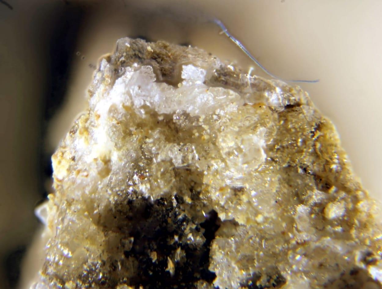 Ginorite mineral