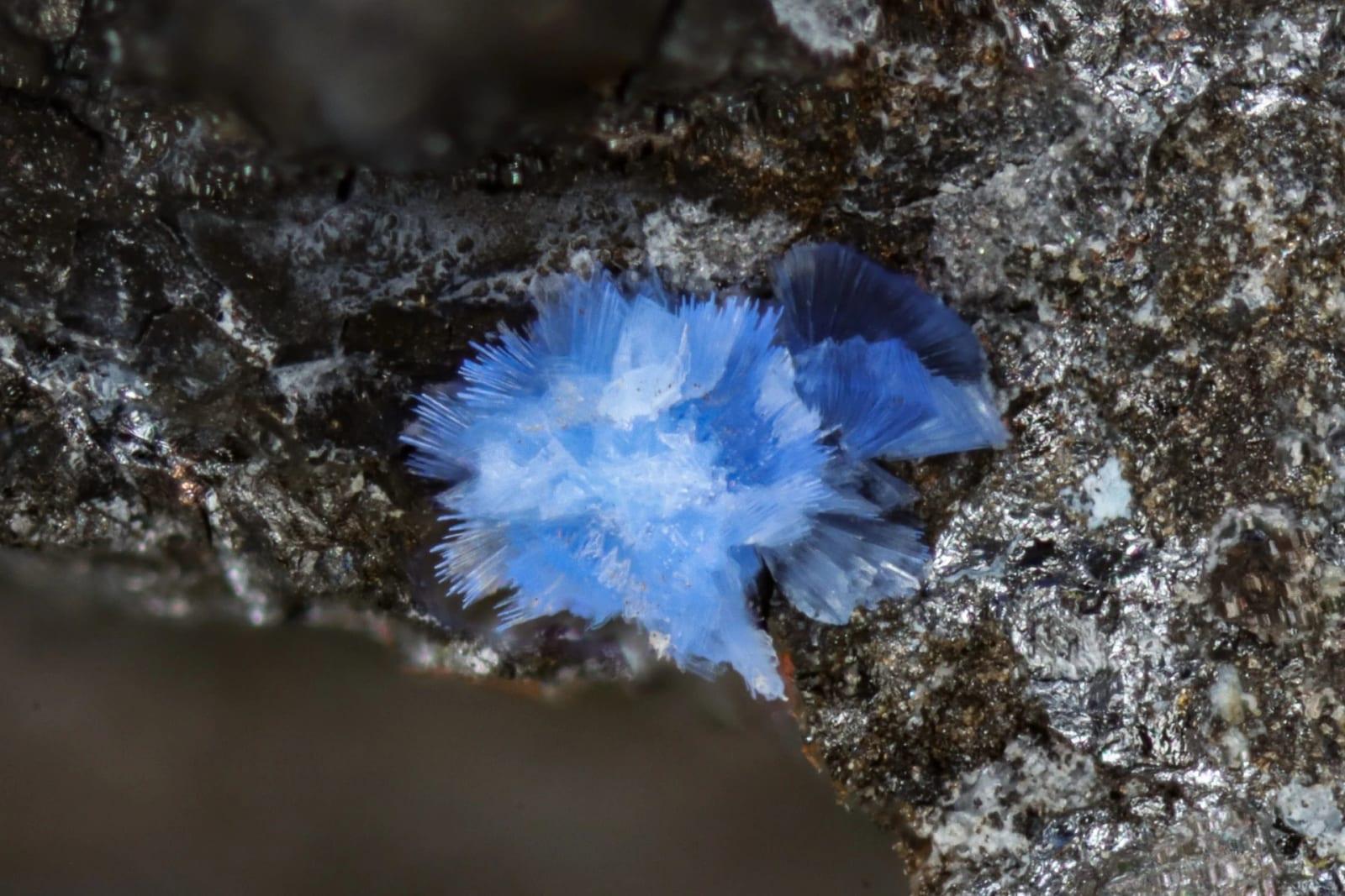 Giorgiosite mineral