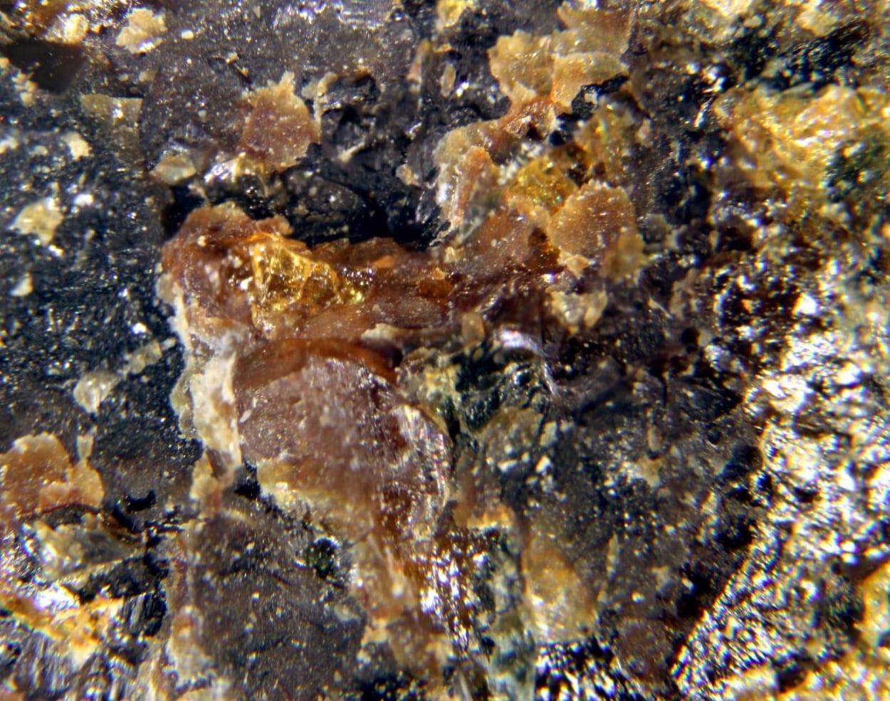 Gonyerite mineral