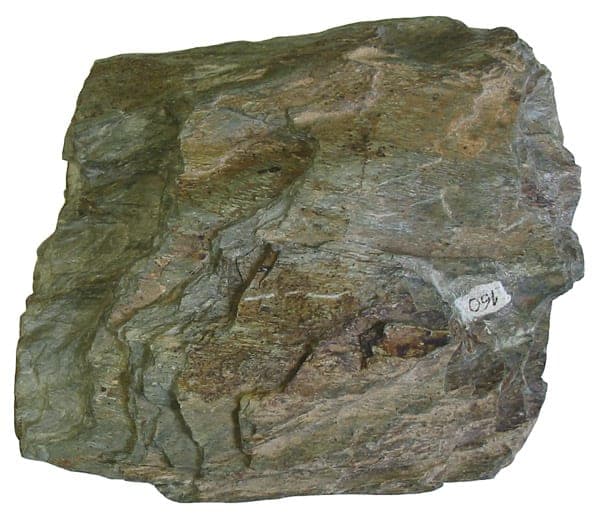 Greenschist metamorphic