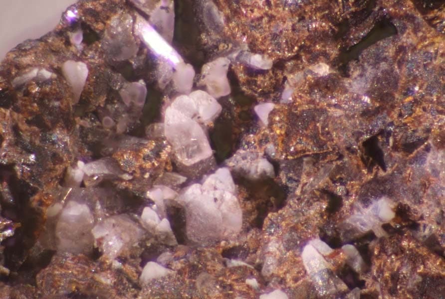 Grischunite mineral