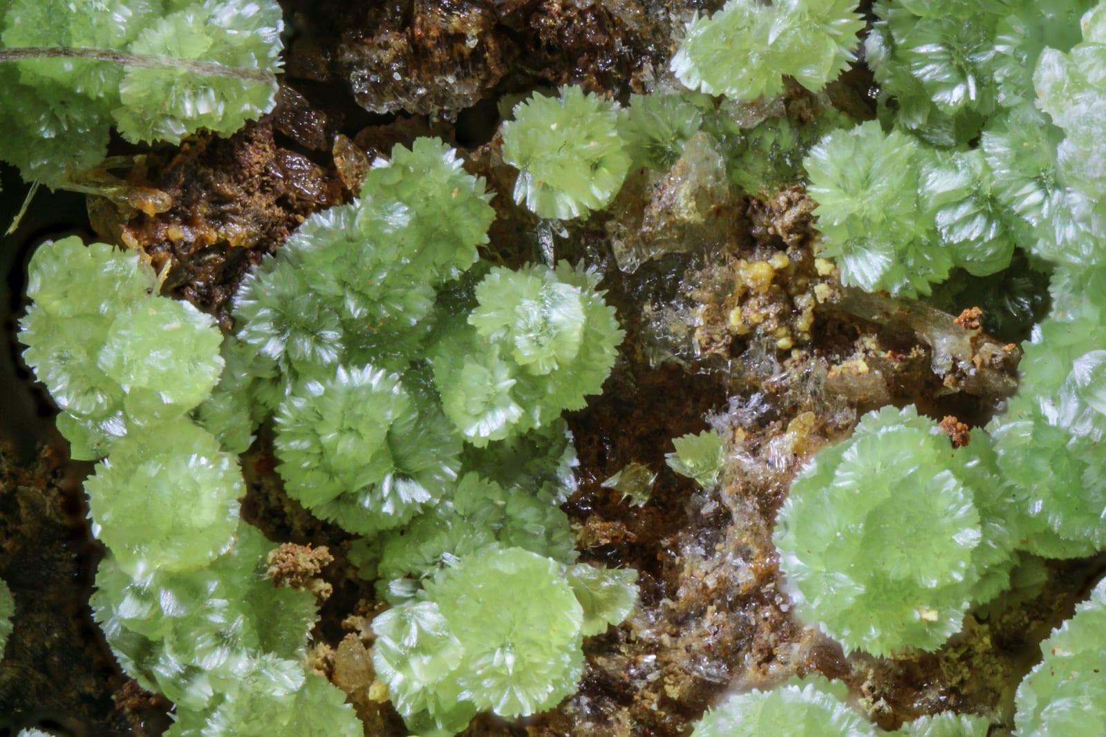 Hilarionite mineral