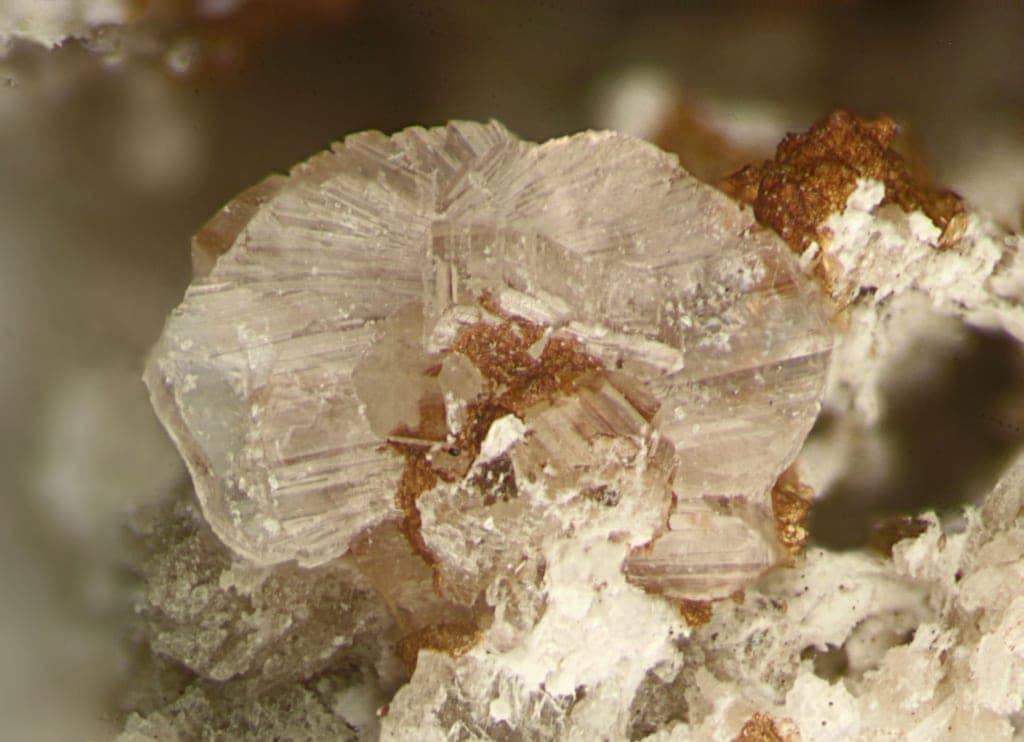 Horváthite-(Y) mineral — Horváthite (Y) 299248
