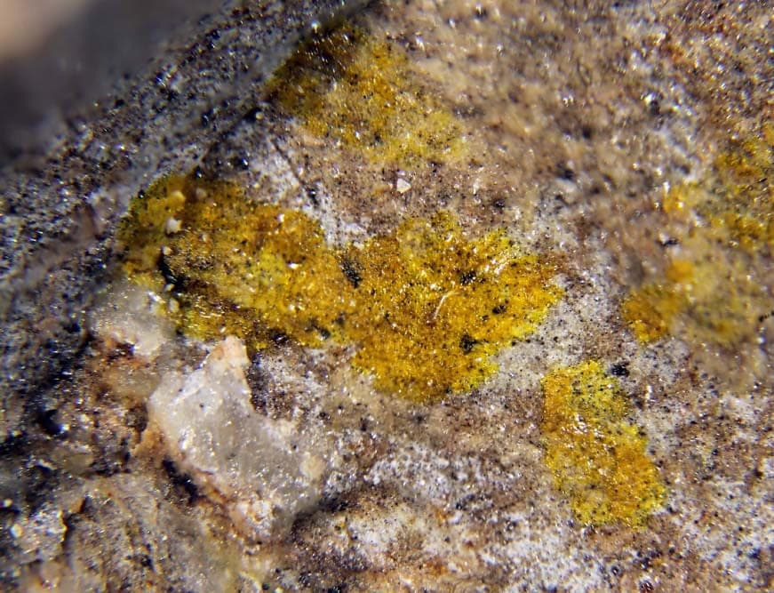 Hummerite mineral