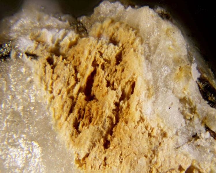 Ilímaussite-(Ce) mineral — Ilímaussite (Ce)