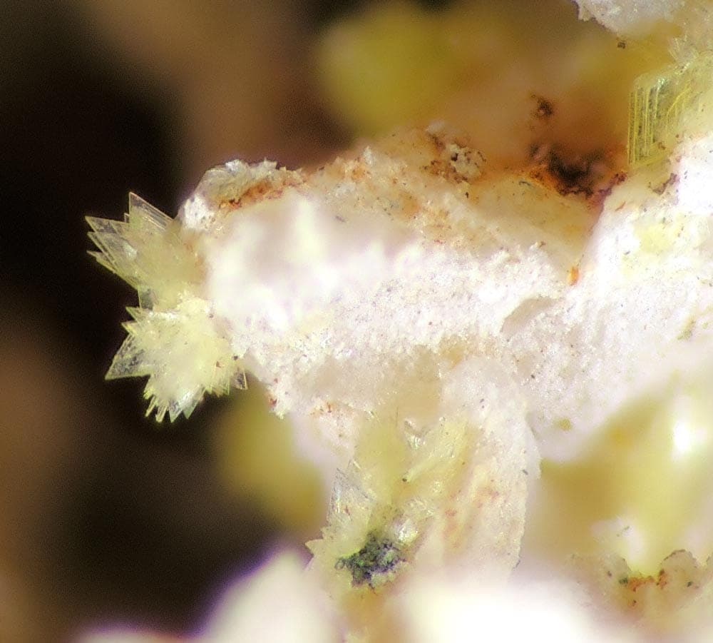 Jungite mineral