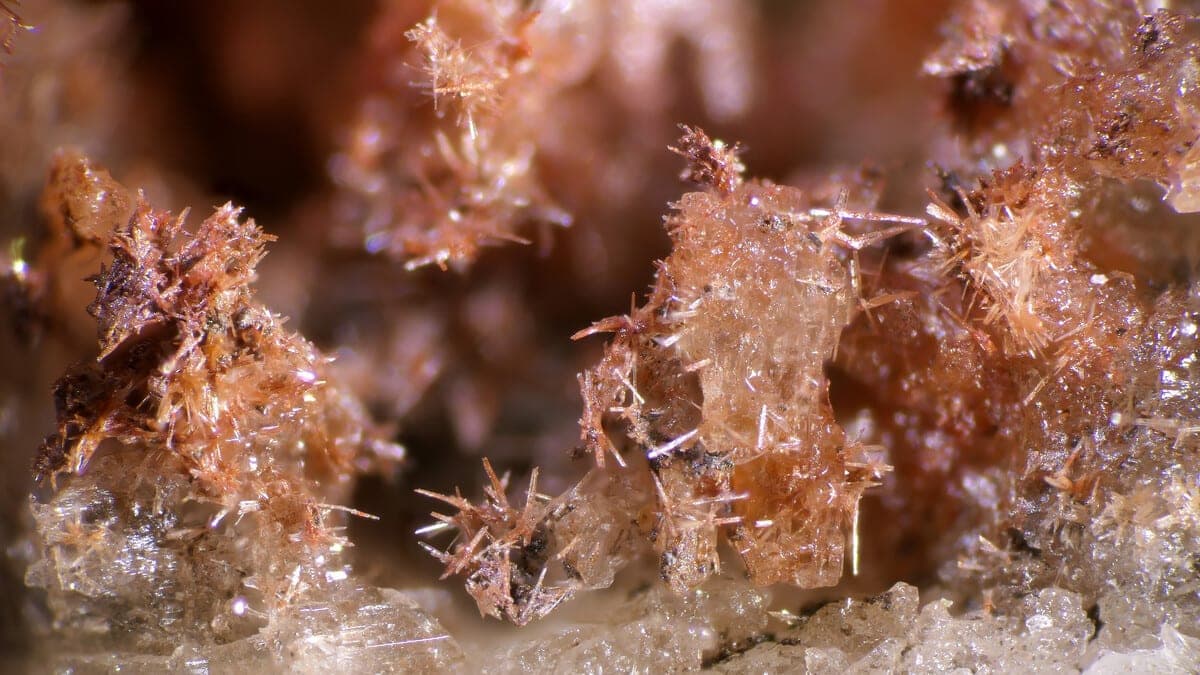 Kalistrontite mineral