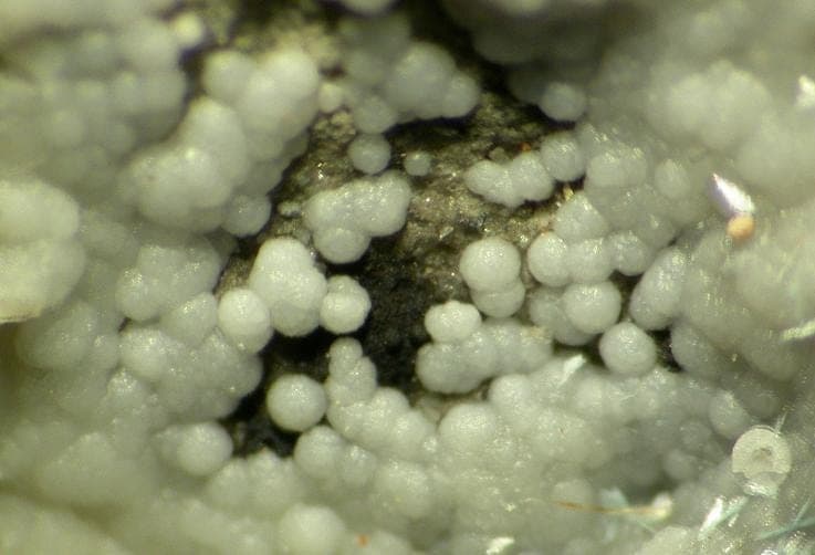 Kamphaugite-(Y) mineral — Kamphaugite (Y) 132866