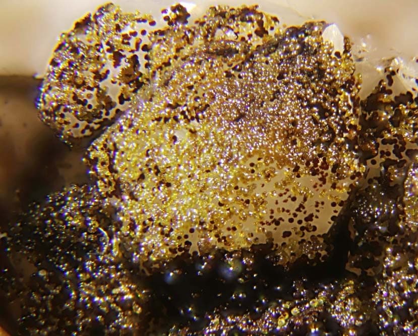 Kintoreite mineral