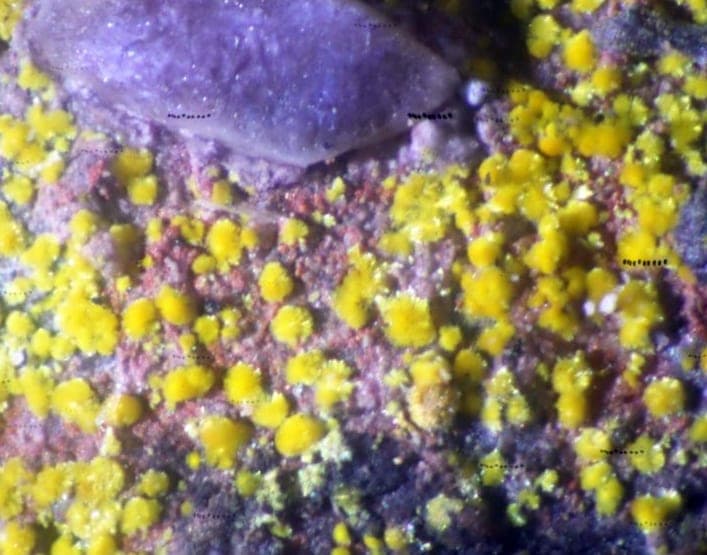 Kollerite mineral