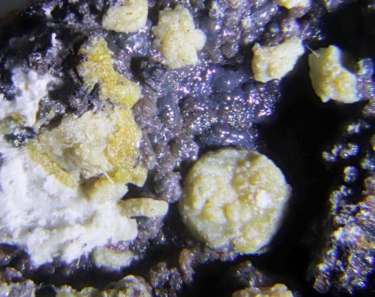 Kolovratite mineral