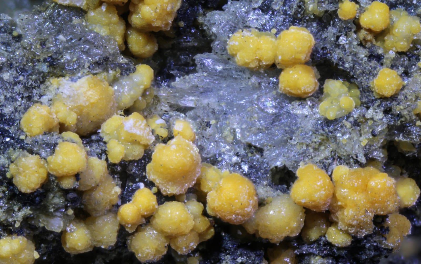 Koninckite mineral