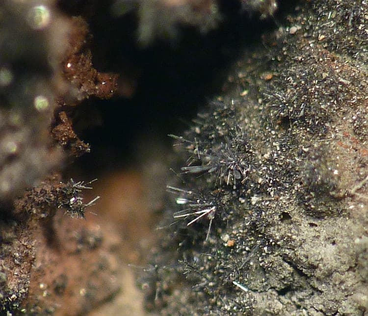 Kudriavite mineral
