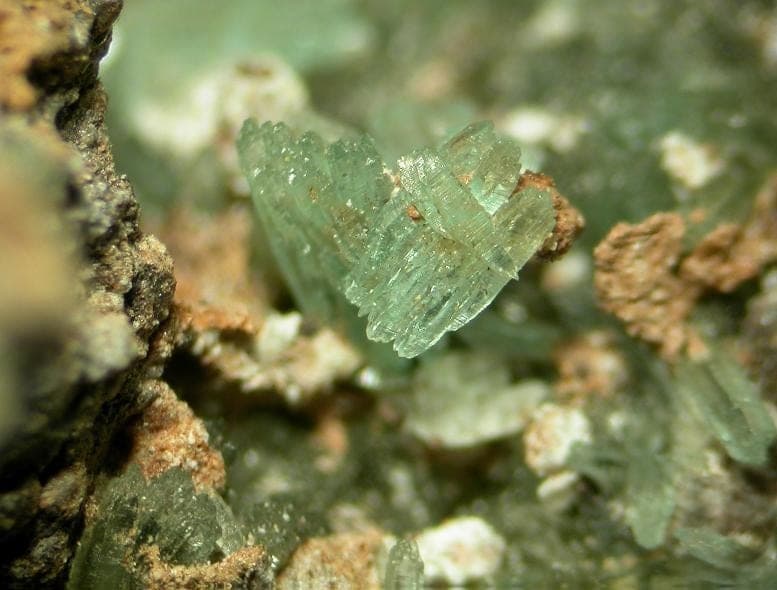 Leightonite mineral
