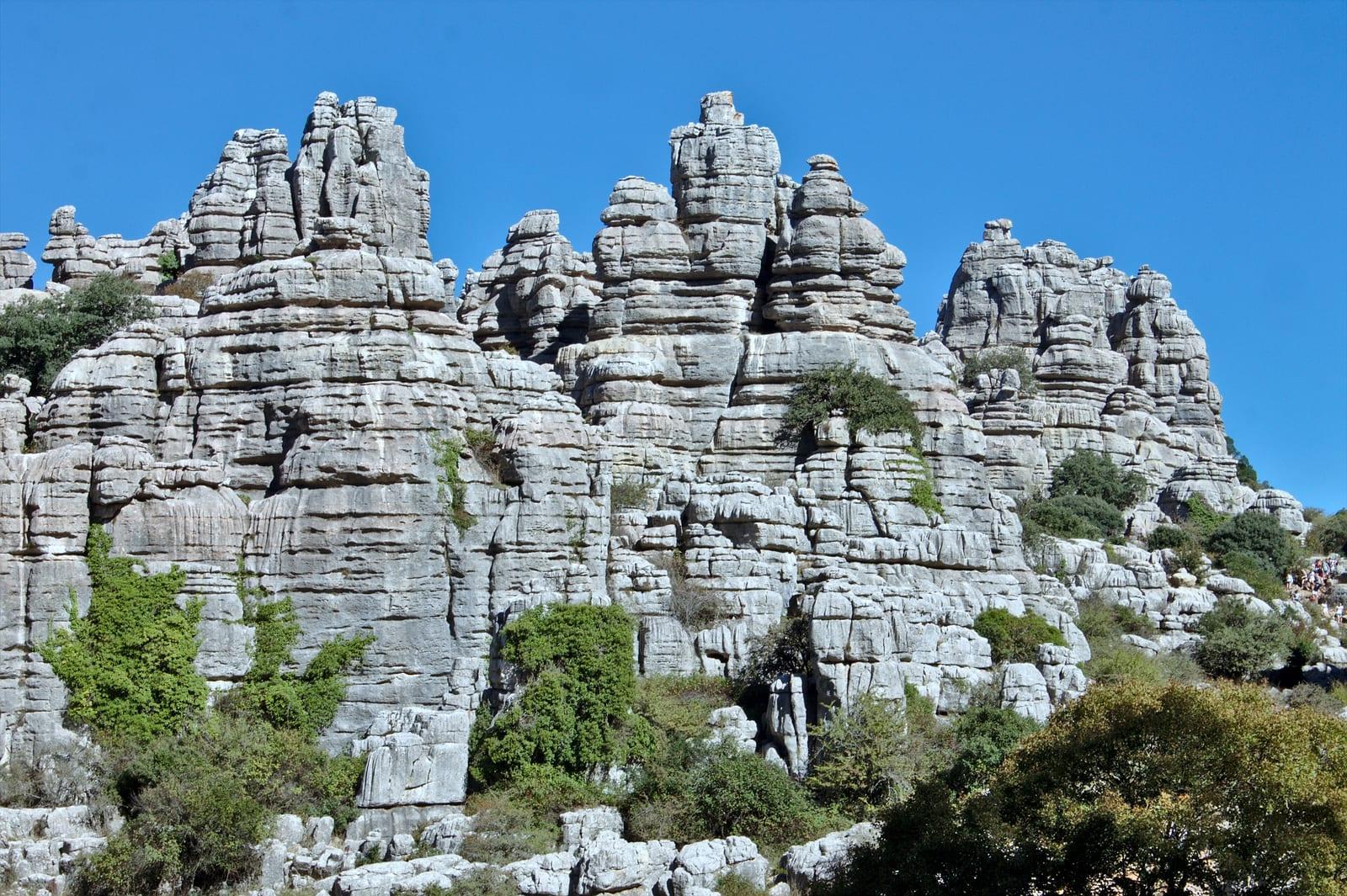 Limestone sedimentary
