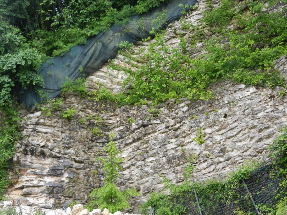 Limestone gemstone