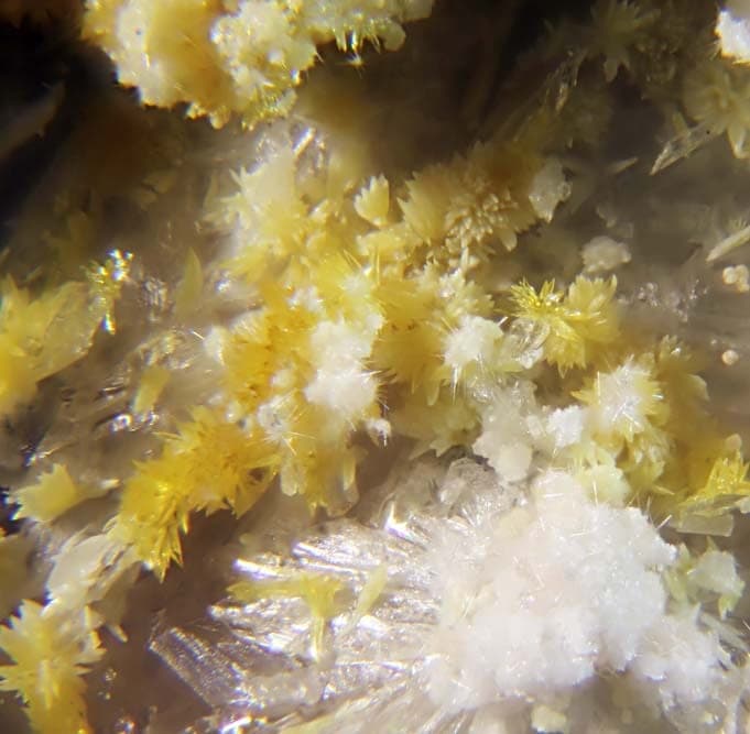 Magnanelliite mineral