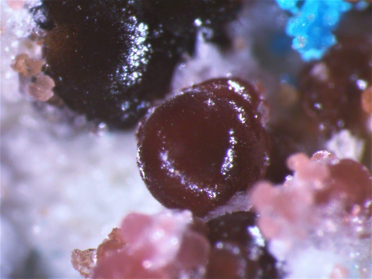 Magnesiocanutite mineral — Mineralatlas Lexikon (english Version)