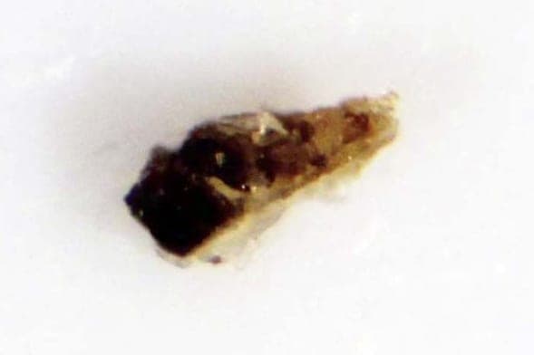 Manganarsite mineral