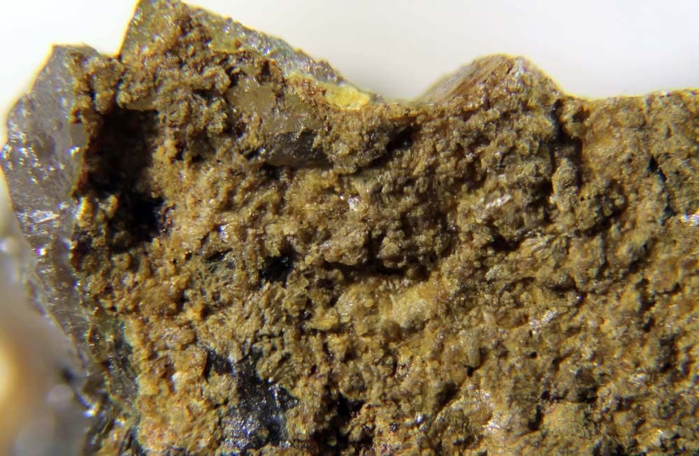 Manganosegelerite mineral