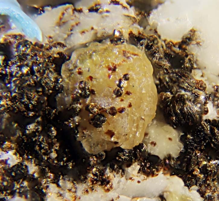 Mckelveyite-(Y) mineral — Mckelveyite (Y)