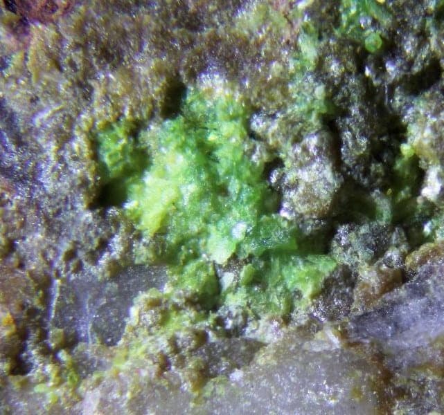 Mendozavilite-NaCu mineral — Mendozavilite NaCu