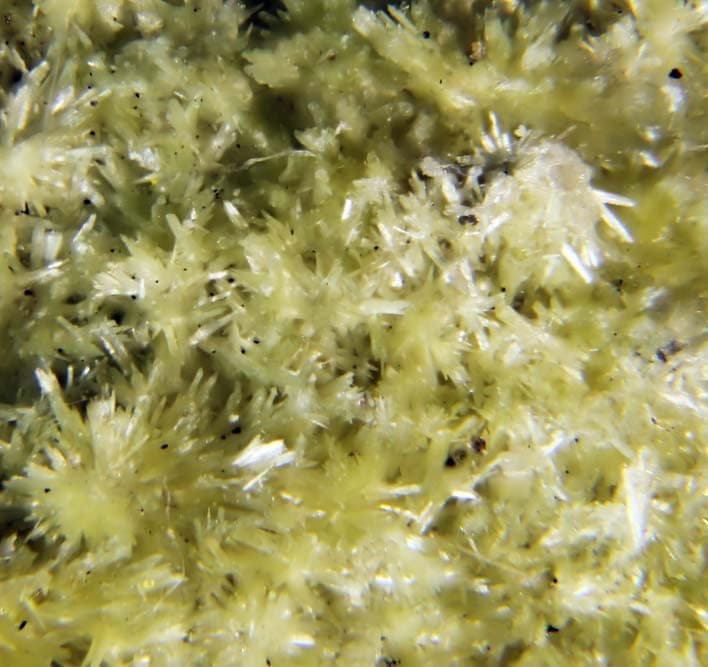 Metamunirite mineral