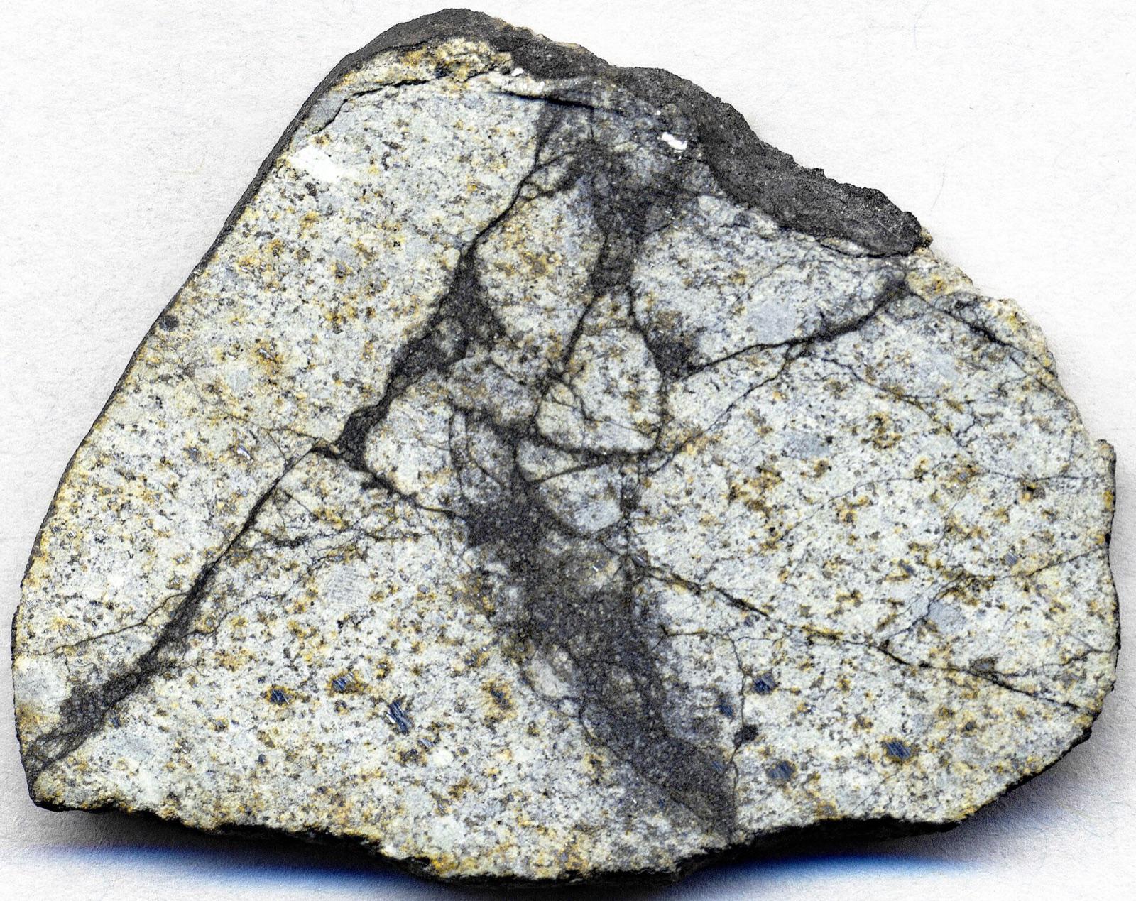 Cut face of an ordinary chondrite showing chondrules and dark shock veins