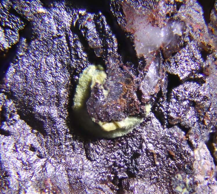 Meurigite-Na mineral — Meurigite Na