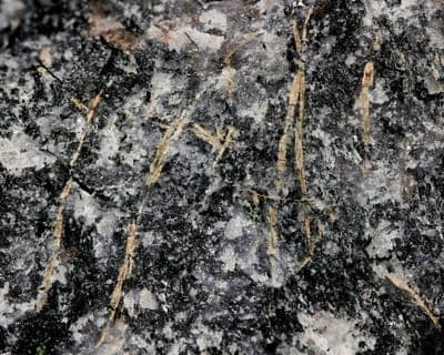 Mosandrite-(Ce) mineral — Mosandrite (Ce) 724023