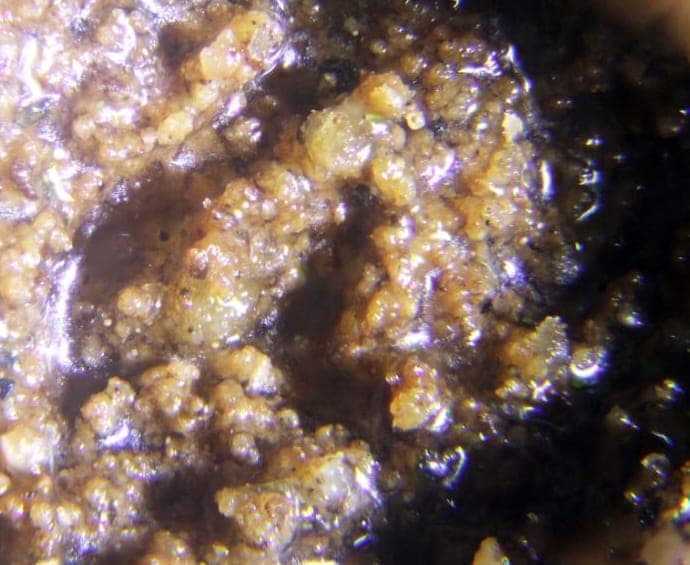 Natroxalate mineral