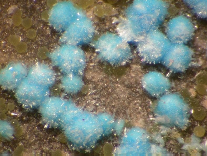 Nevadaite mineral