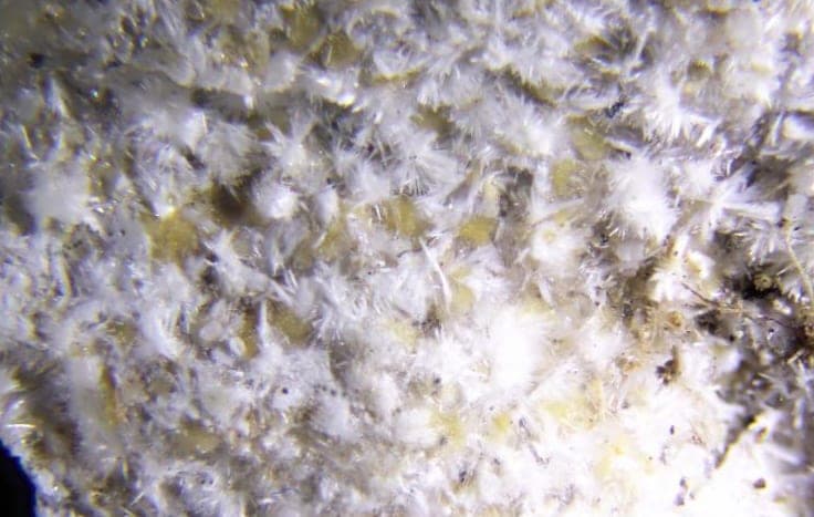 Niahite mineral