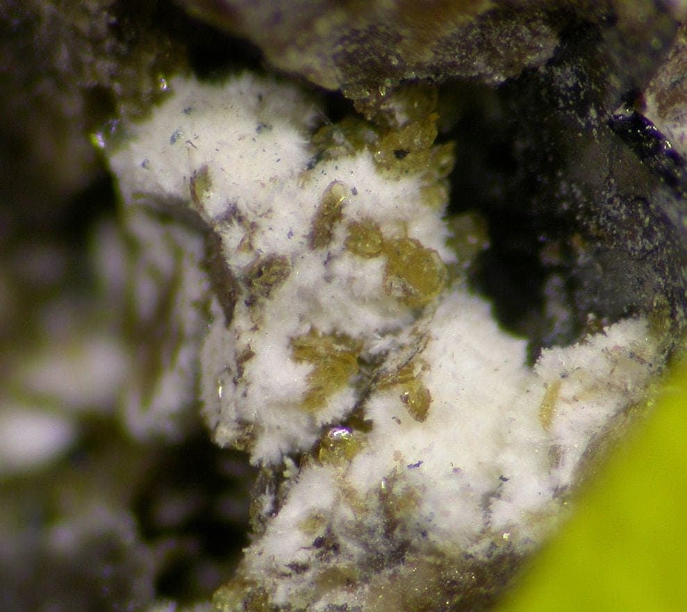 Nordgauite mineral