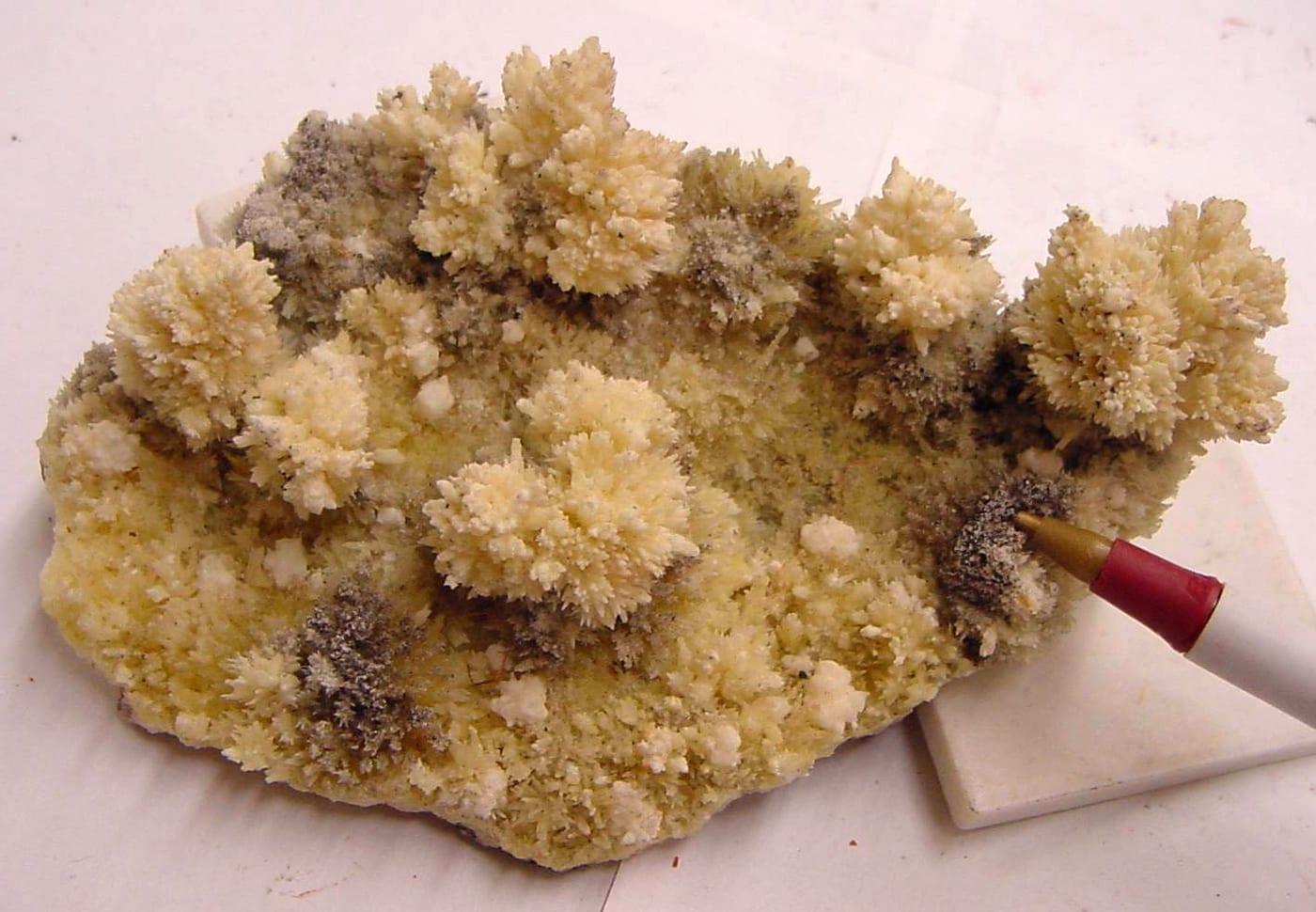 Nováčekite mineral — Novacekite   USGS Mineral Specimens 808