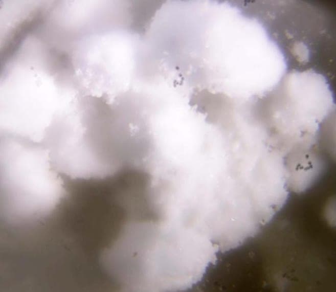Olympite mineral