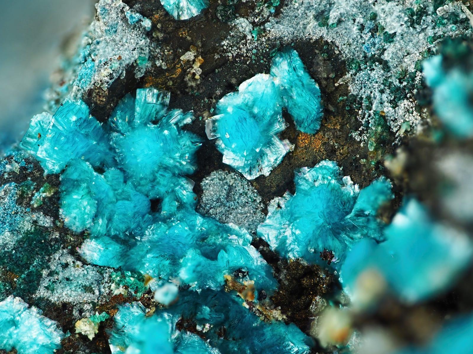 Orthoserpierite mineral