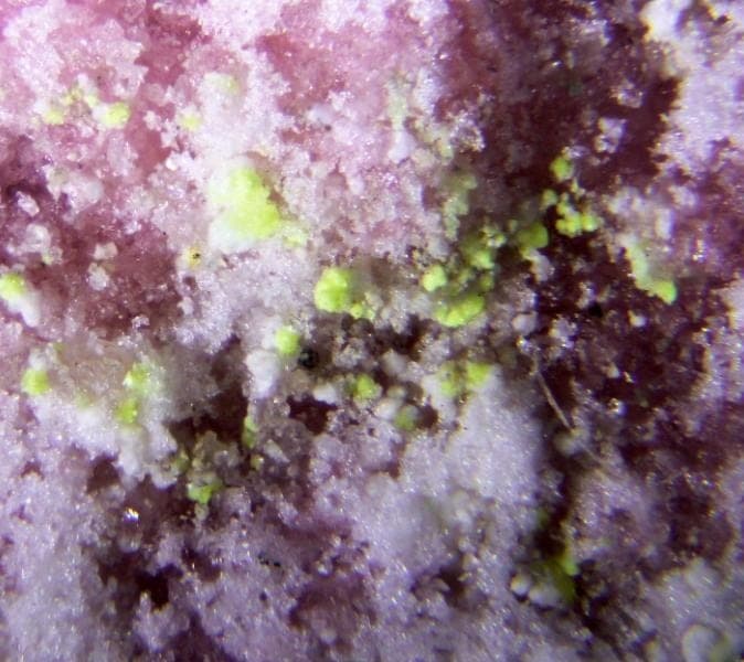 Ottohahnite mineral