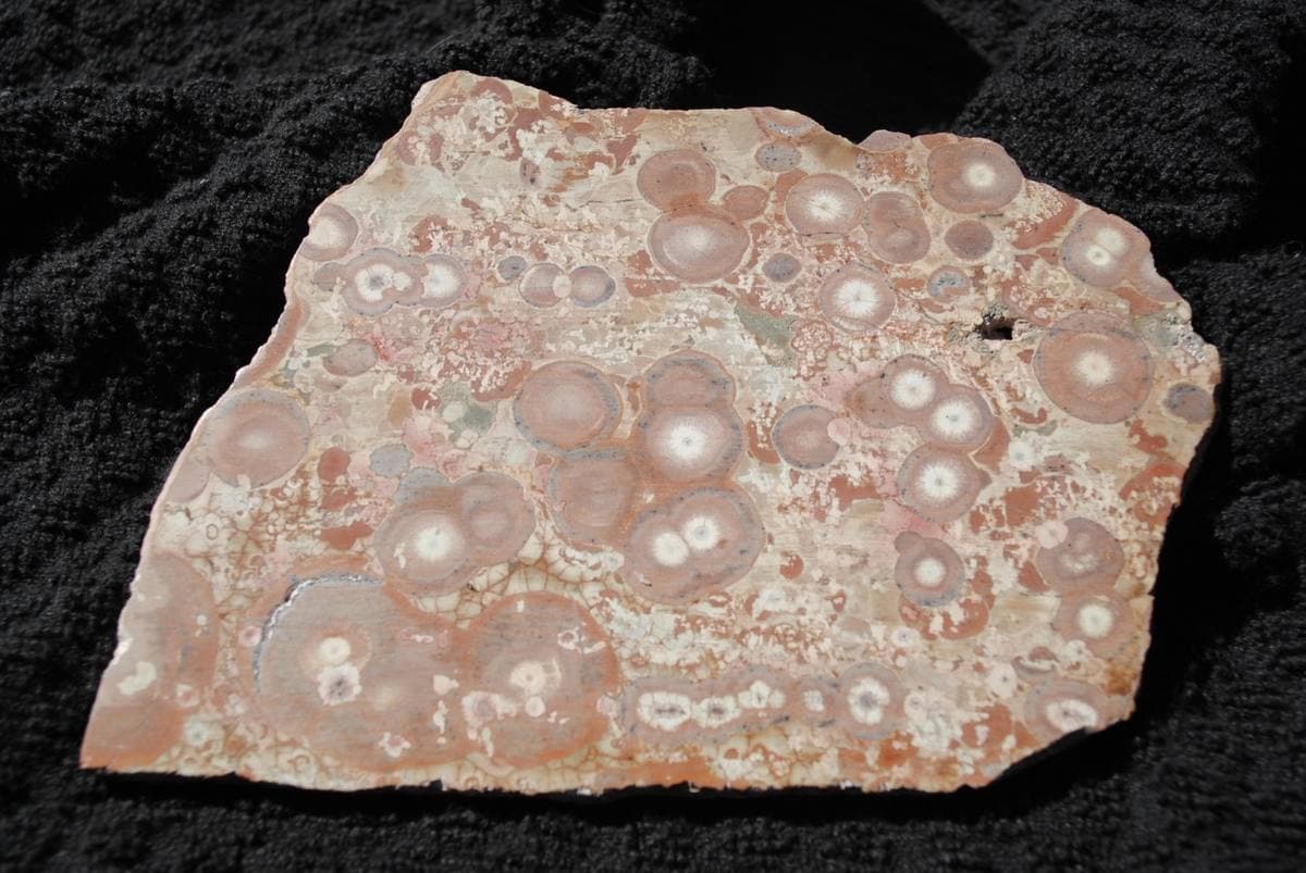 Owyhee Jasper gemstone