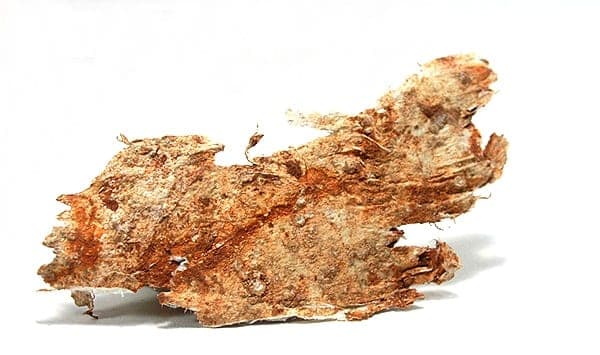 Palygorskite mineral